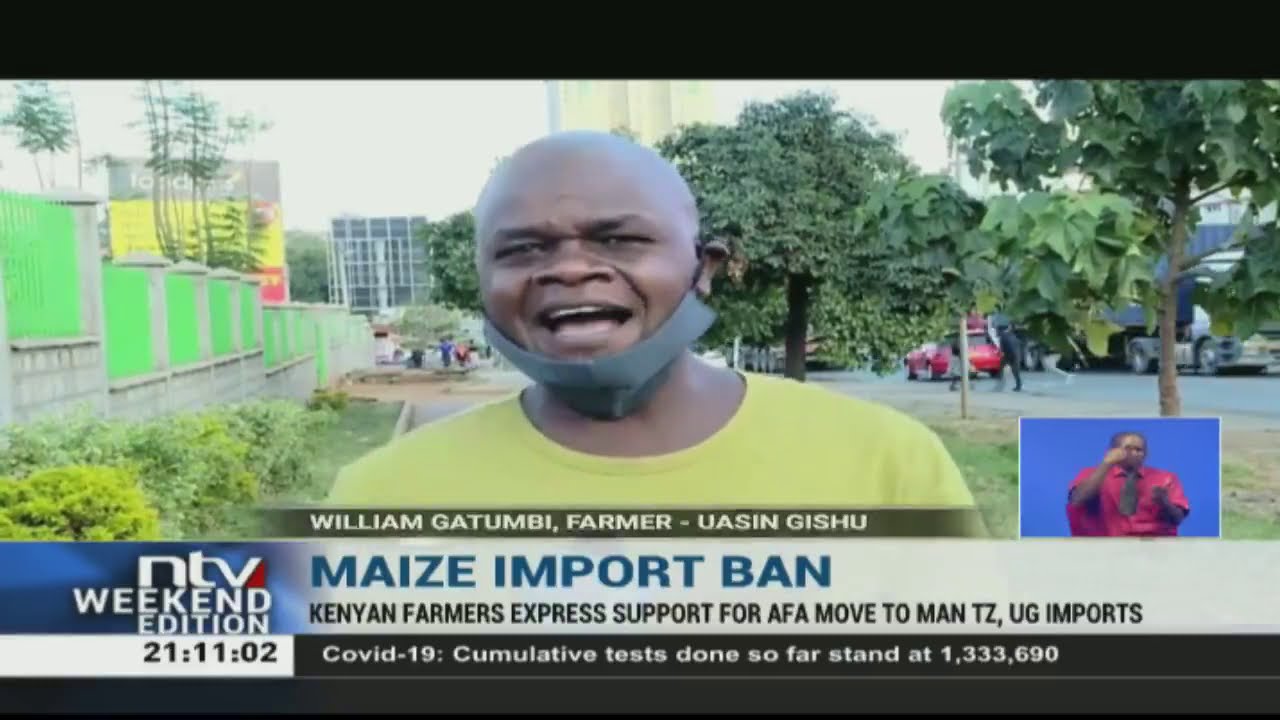 Kenyan farmers support Tanzania, Uganda maize imports ban