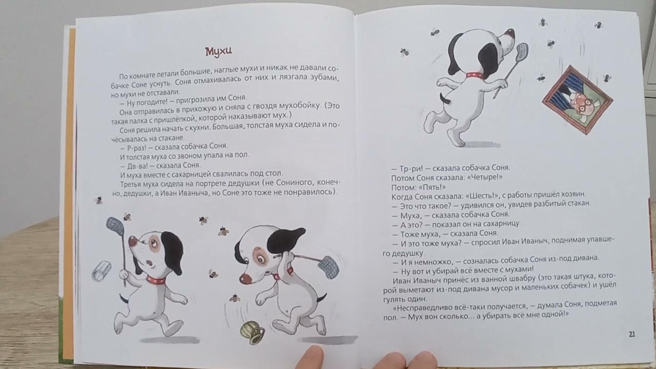 Умная собачка Соня. Мухи.