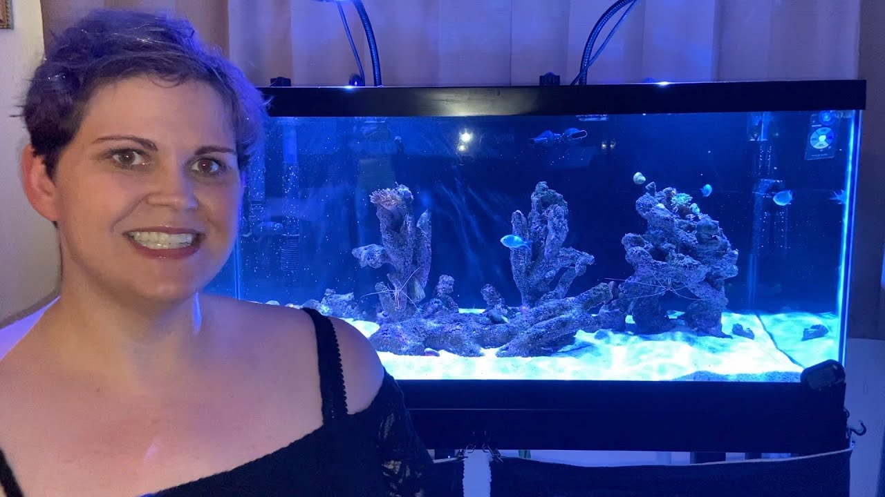 40 Gallon Saltwater Aquarium Setup