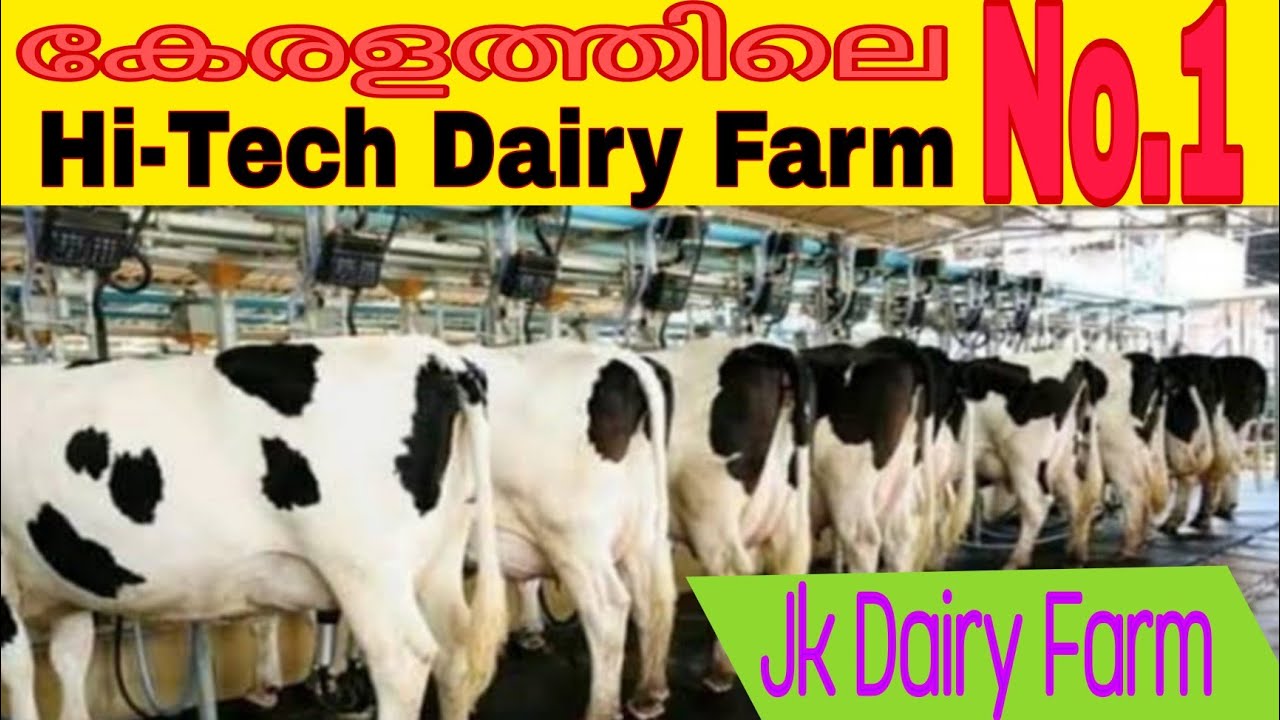 കേരളത്തിലെ No-1പശു ഫാം || Kerala Largest Hi-Tech Dairy Farm.