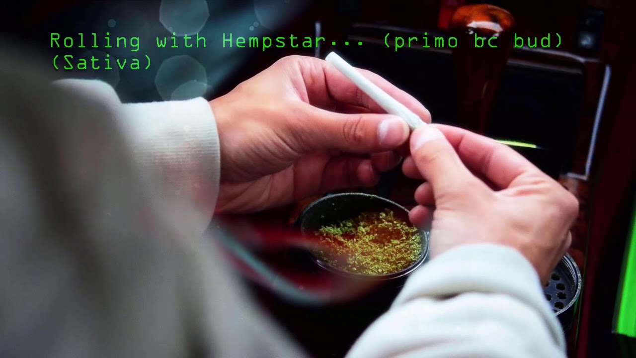 BC Hempstar glass papers true terpene