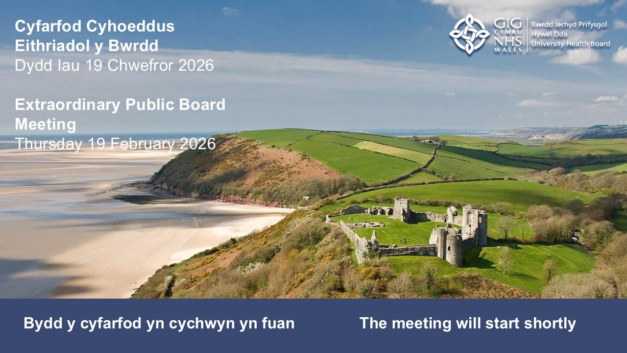 Cyfarfod Bwrdd Cyhoeddus BIP Hywel Dda /Hywel Dda UHB Public Board Meeting 19.11.2026