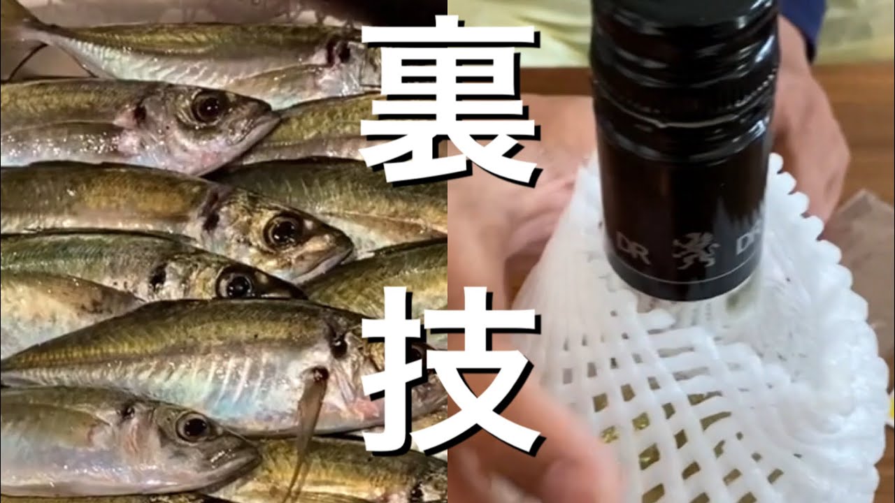 【超簡単】サビキ釣りでこれをするだけでアジが爆釣する裏技。