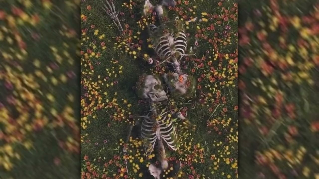 Arrasamientø - Voy a reírme