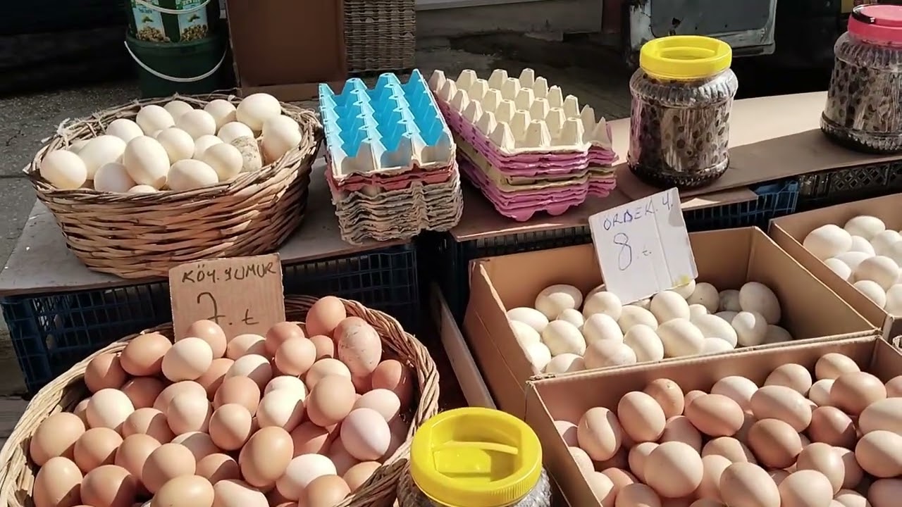 Malkara'da yaşadığım yerleri gez
