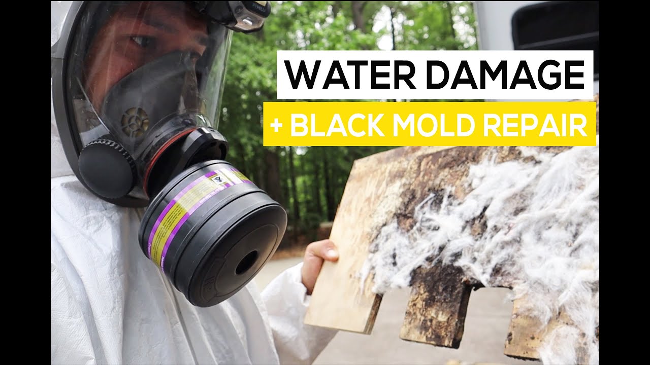 Black Mold in our RV?!