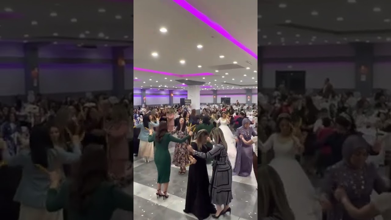 Musti müzik kaşık havası gül