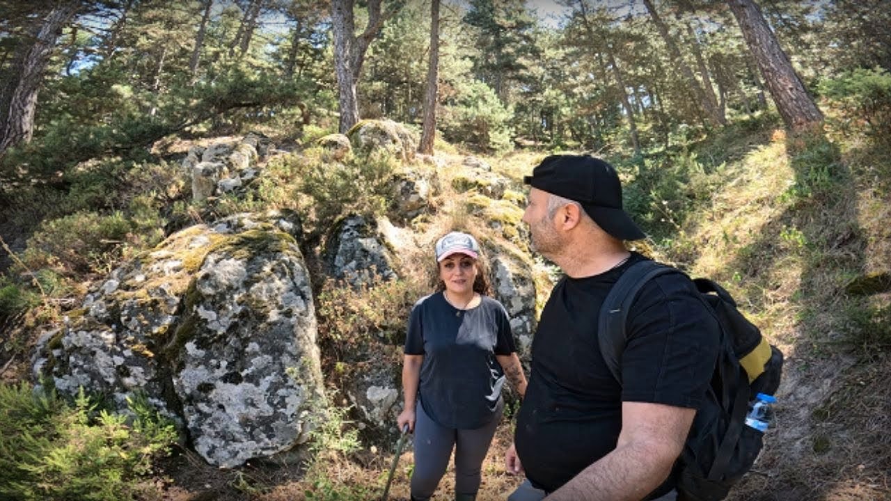 Мы открываем сундук с сокровищами, построенный на спине черепахи.