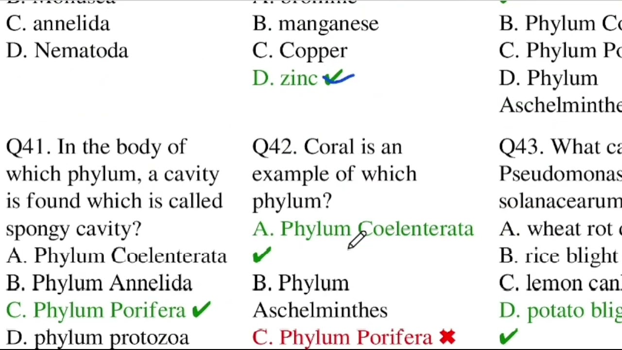 Plant and animal kingdom in english 