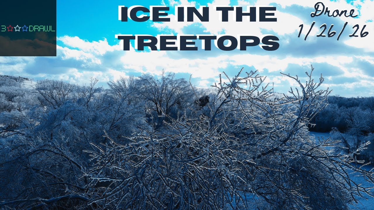 Ice in the Treetops