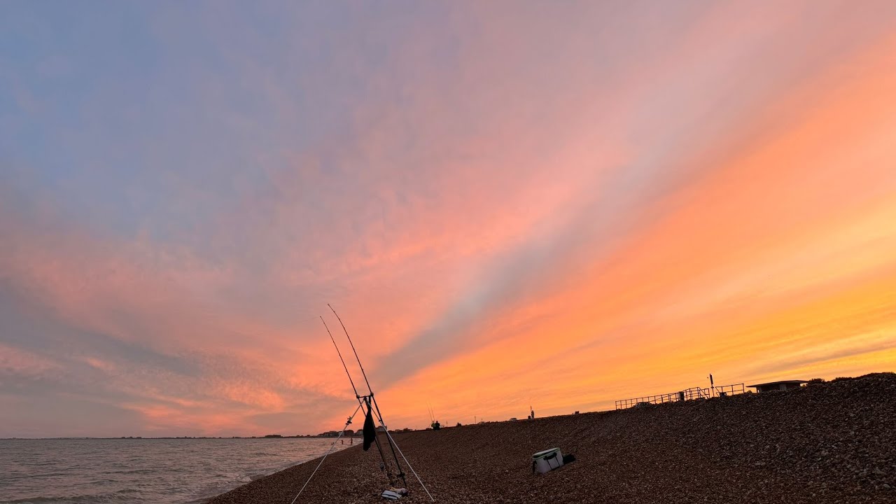 The tale of two tides, Hounds, Rays@ Hythe Kent