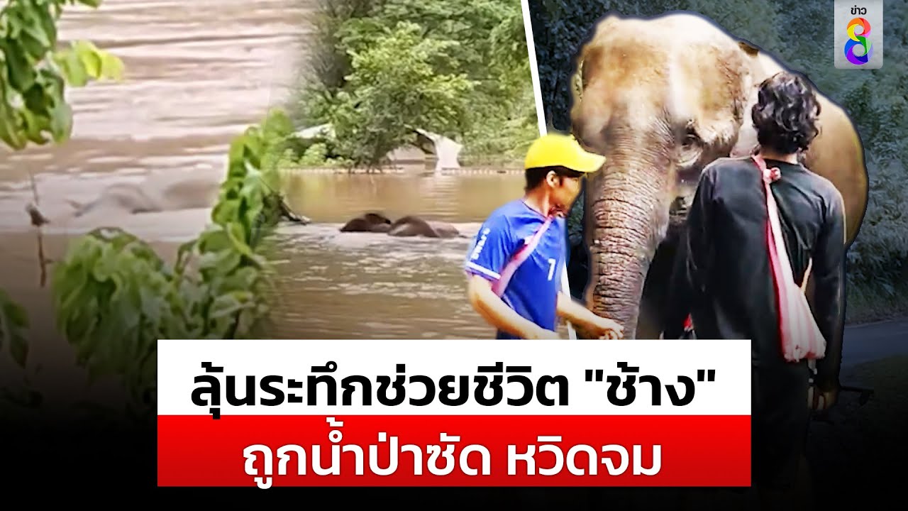 ลุ้นระทึก! นาทีช่วยชีวิต 