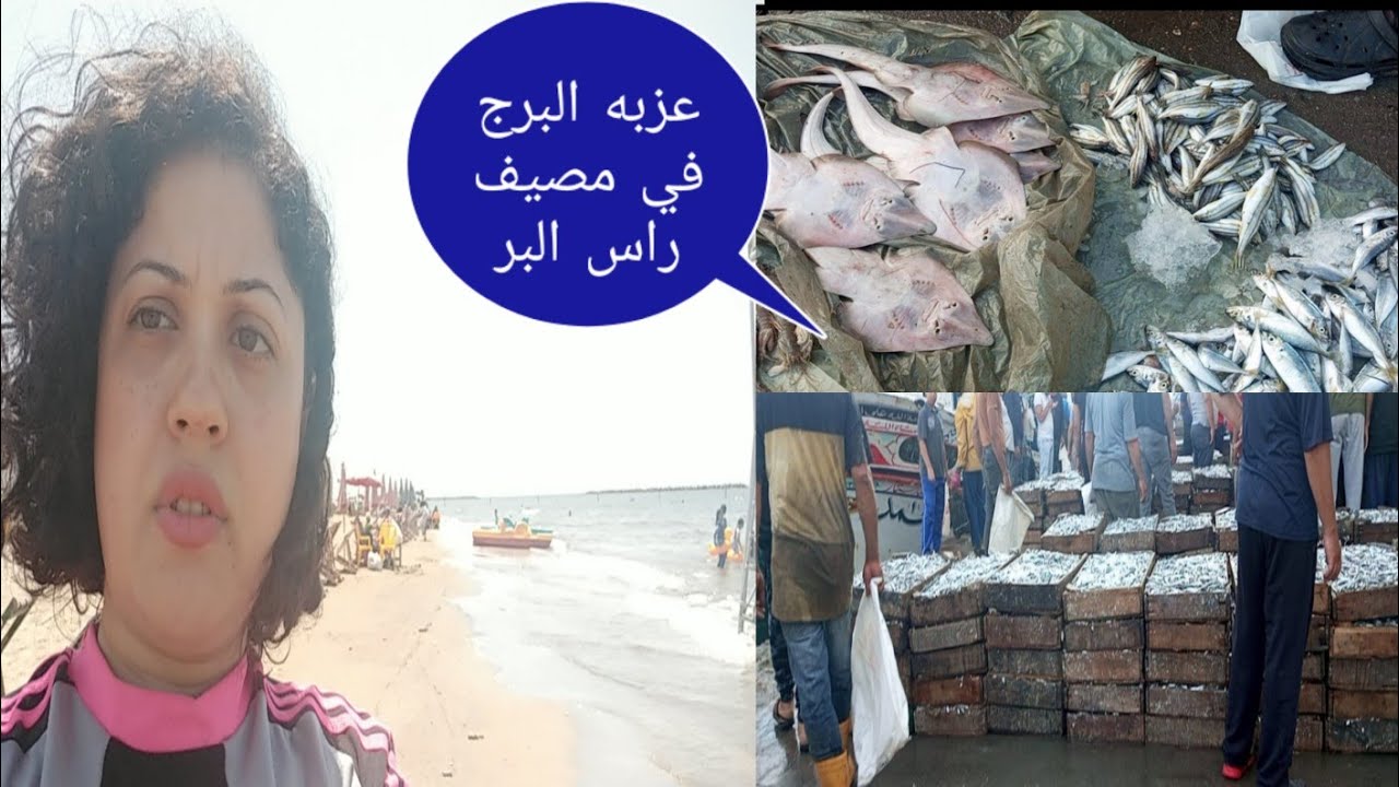مصيف راس البر ارخص مكان لبيع الجمبري والكابوريا عزبه البرج ومعلومات ونصائح مهمه محدش هيقولها لك