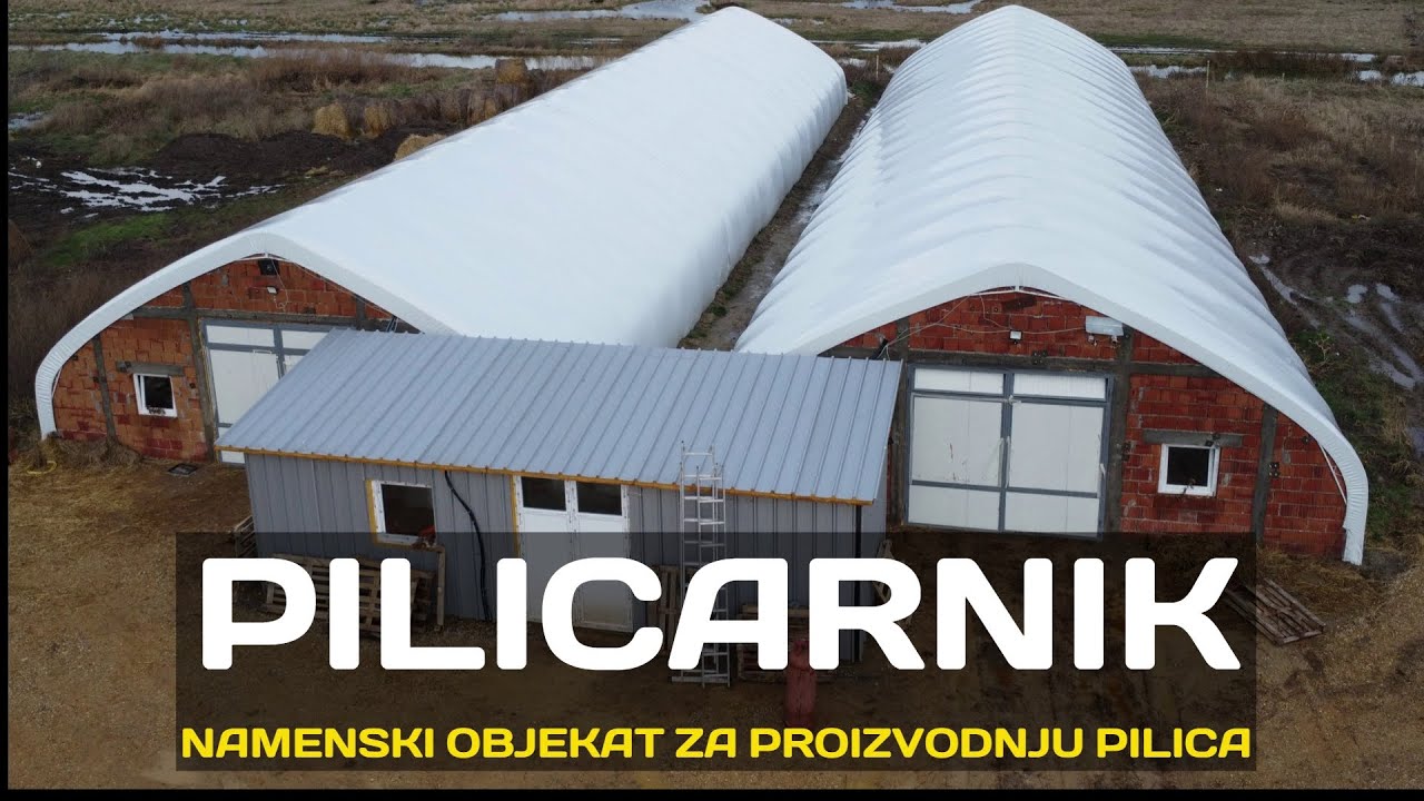 Pilićarnik- objekat za proizvodnju pilića, ćuraka, za smeštaj koka nosilja.