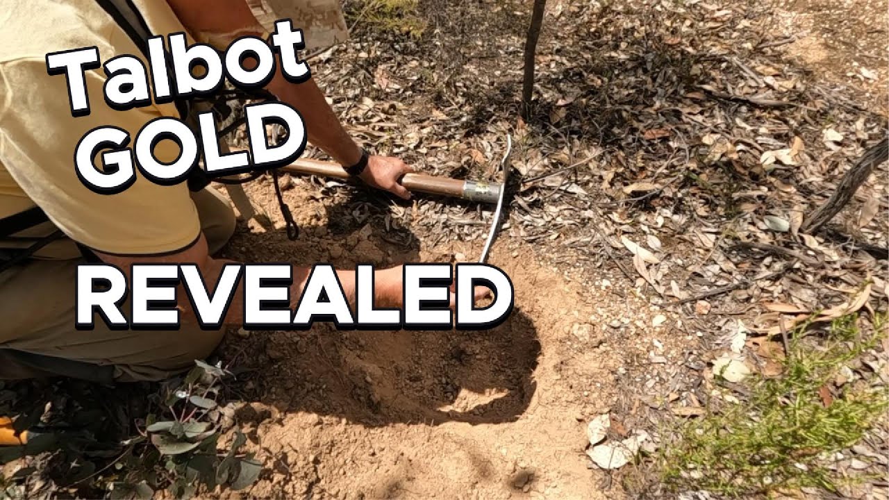 Золотоискатель Talbot на викторианском кусте с Minelab GPZ 7000 и катушкой Nugget Finder 17x13 дю...
