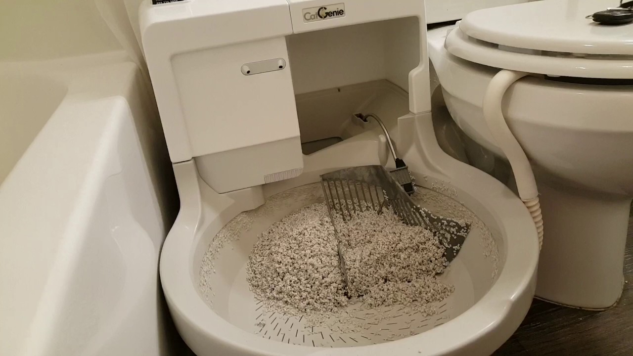 Our CatGenie Auto Cleaning, Self Flushing Cat Box Cycle In Under 5 Minutes