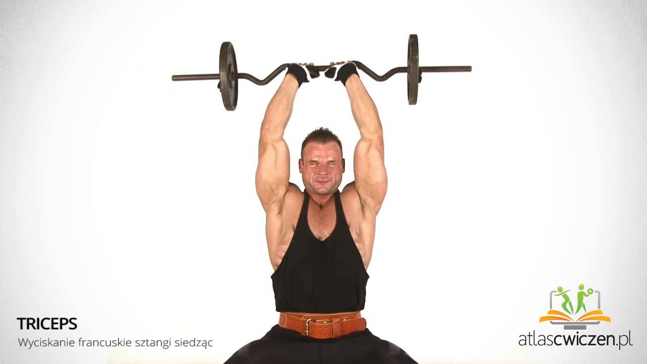Triceps - Wyciskanie francuskie sztangi siedząc [ atlascwiczen.pl ]
