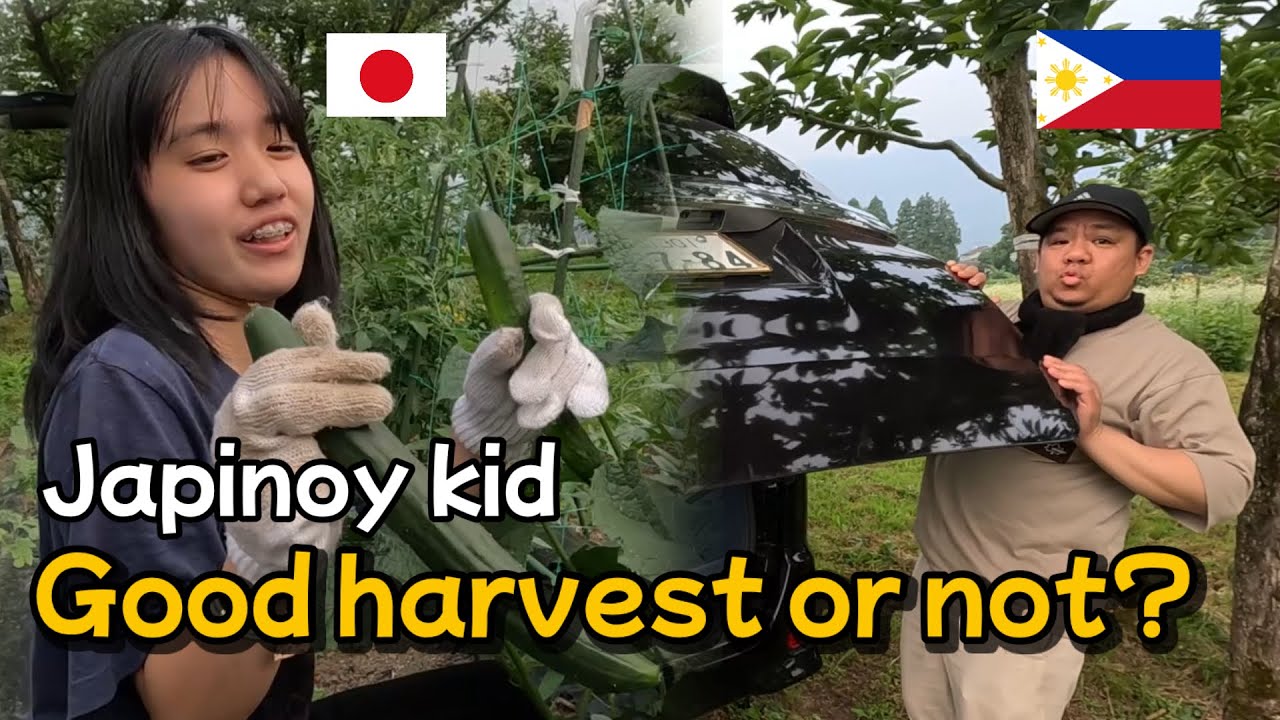 Harvesting Some Vegetables in Japan | UPDATE to MINI FARN | Filipino Single Father in Japan