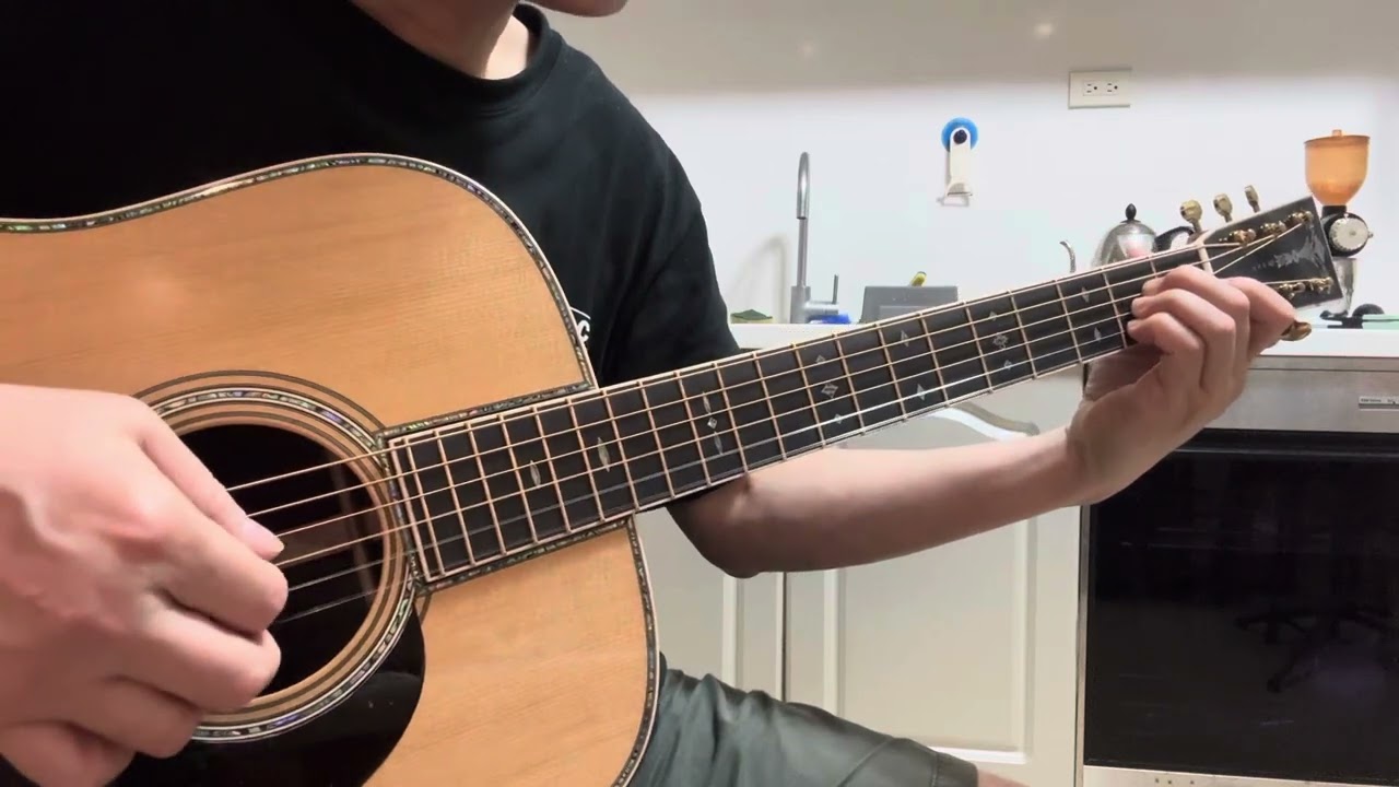 Martin D45 Modern Deluxe 2024 fingerstyle