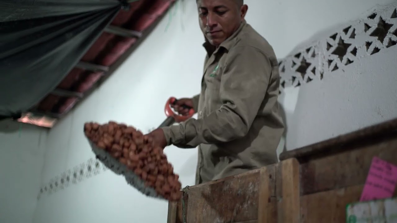 ECOM Cocoa Mexico
