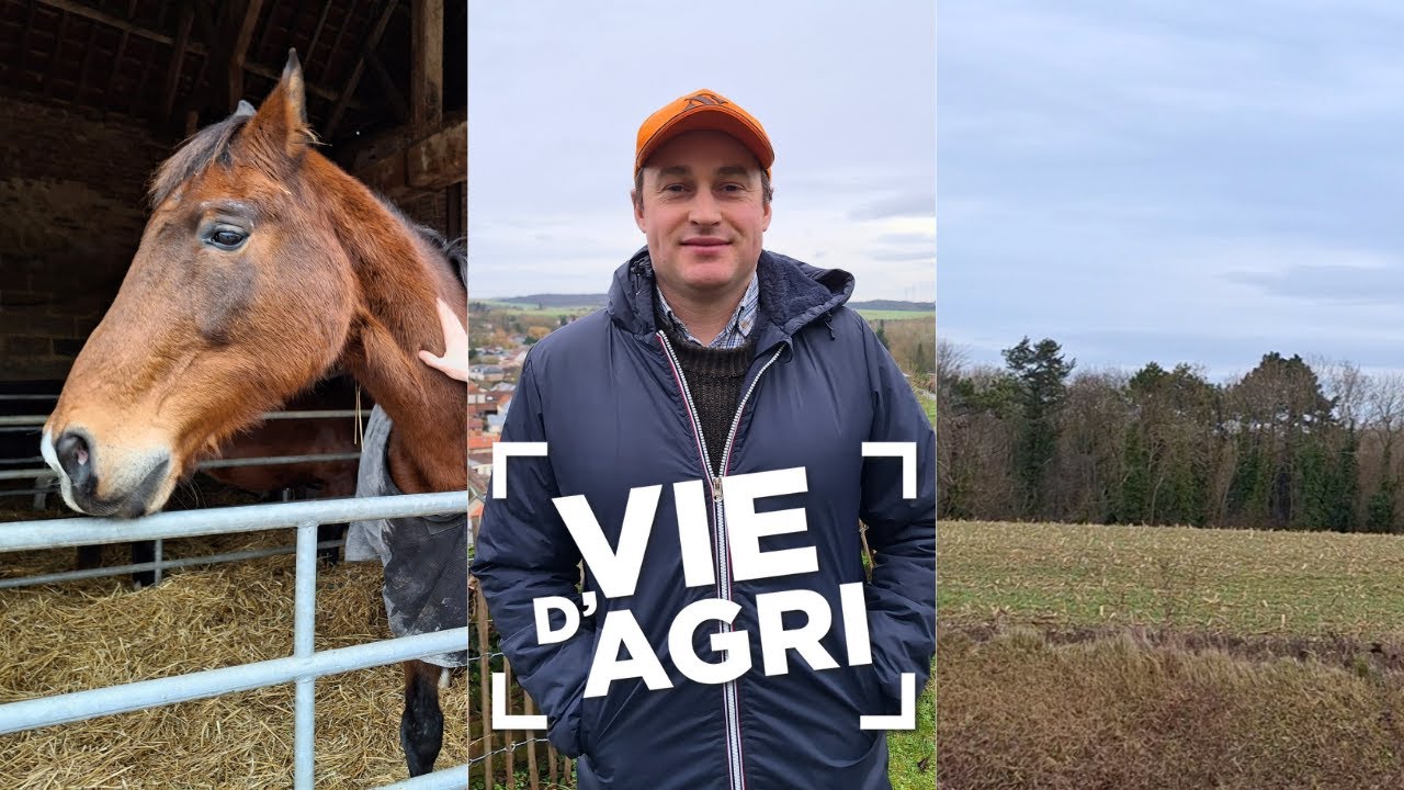 VIE D'AGRI - Portrait de Quentin Coulombel