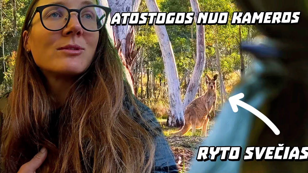 Grįžau į laukinę Australiją