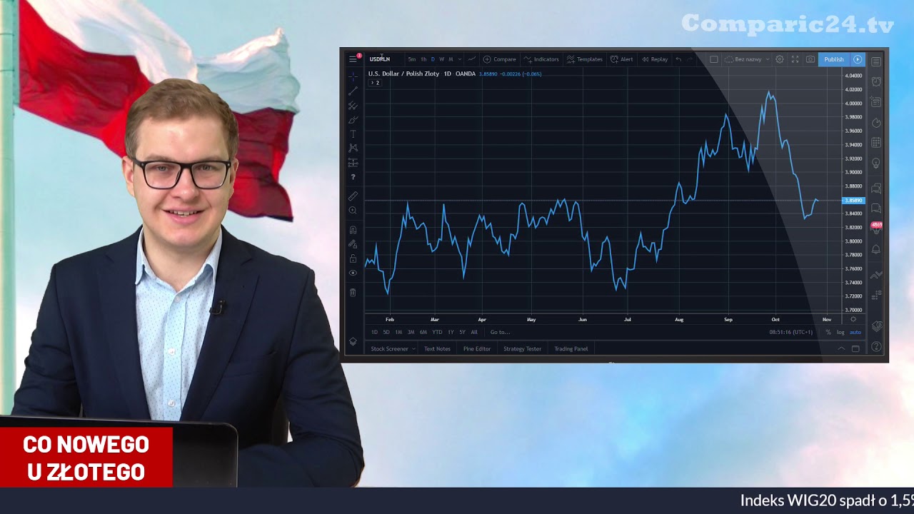 Rynki wciąż czekają na słabszego złotego - kurs euro, franka, funta i dolara | [28.10]
