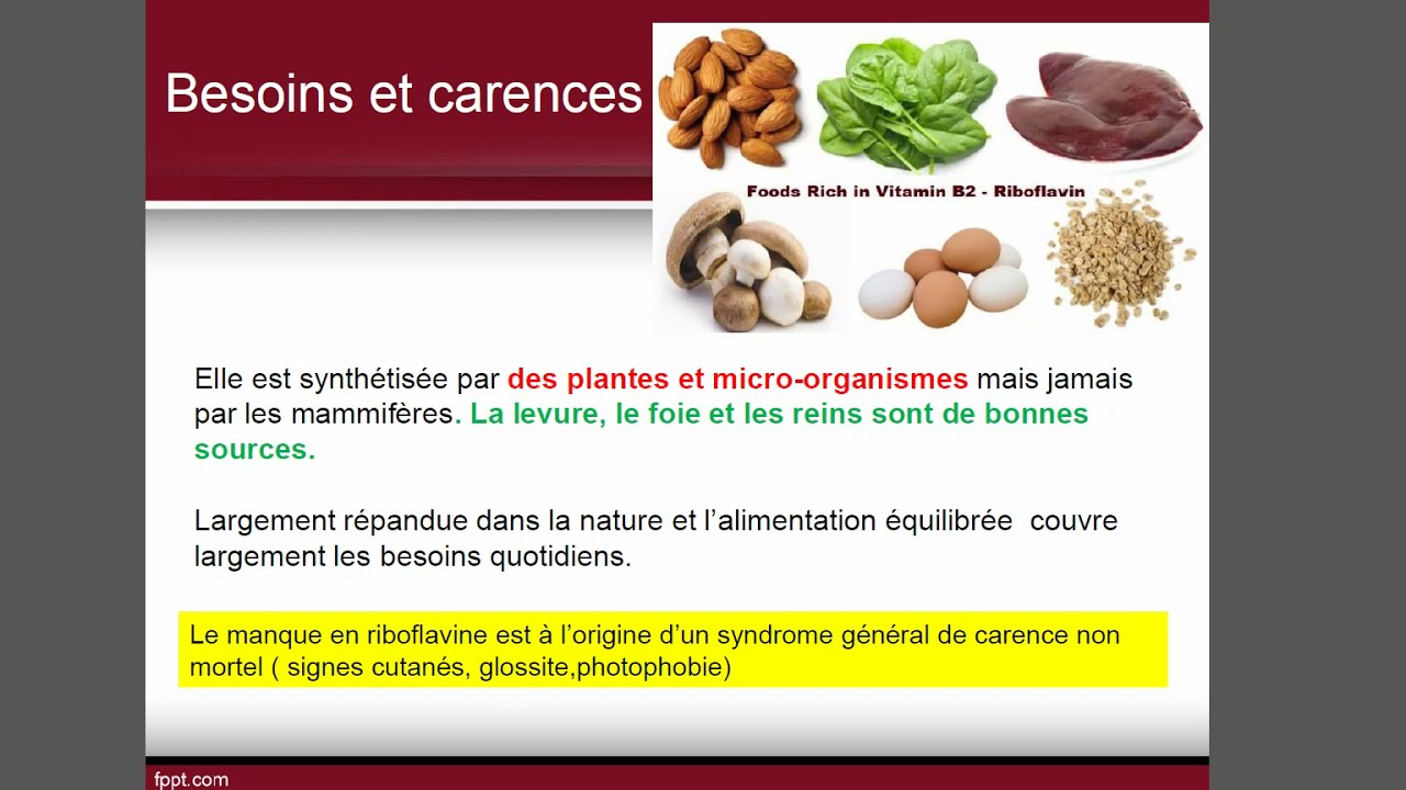 Vitamines hydrosolubles