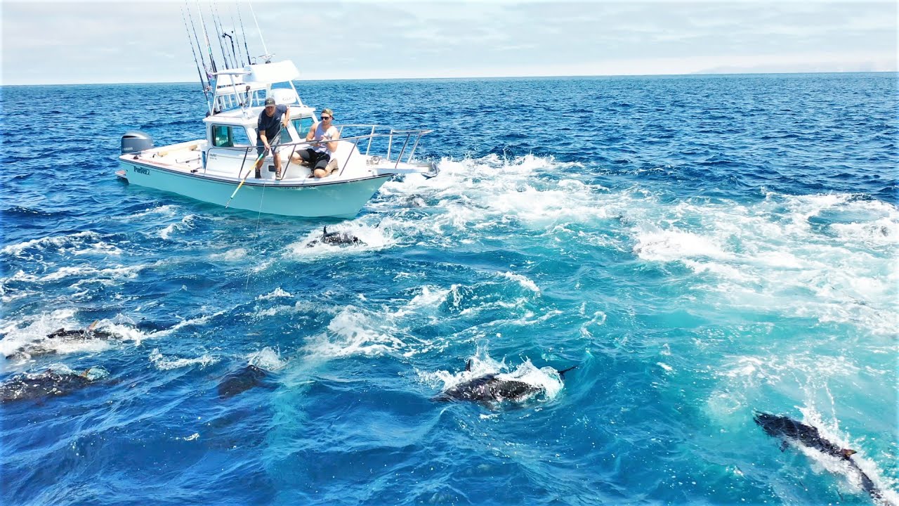 Huge Bluefin Tuna Foamers Everywhere!! WE GOT EM!!