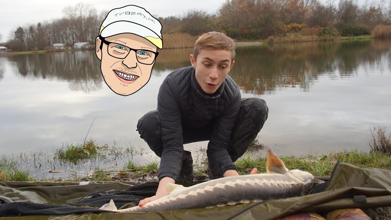 Stør, Stør, Stør... 3 på en gang!