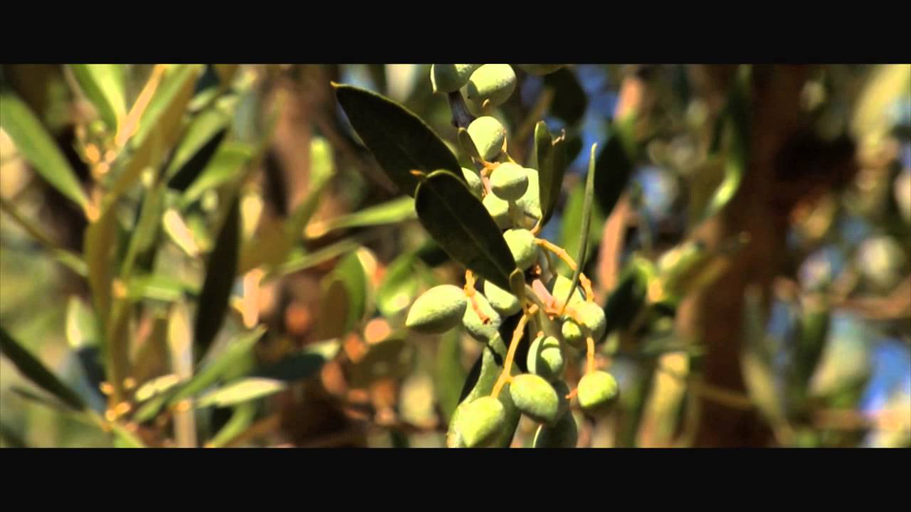 Mythical Peloponnese-- Official Video