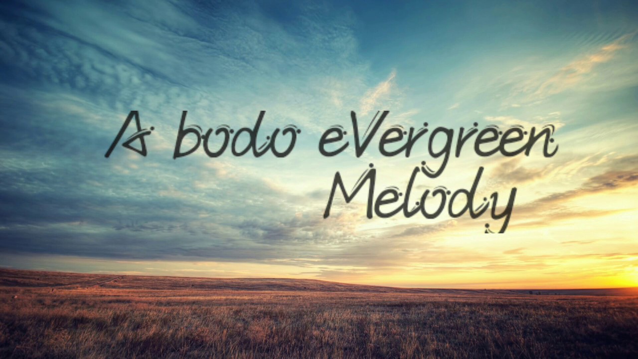 Alayaron Lyric Video HD | A Bodo Evergreen Melody | 2017