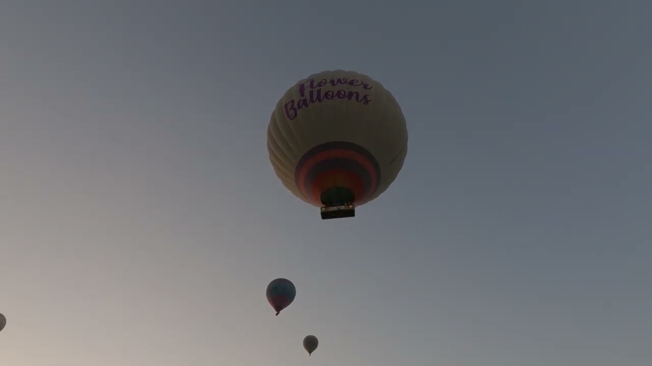 GX011402