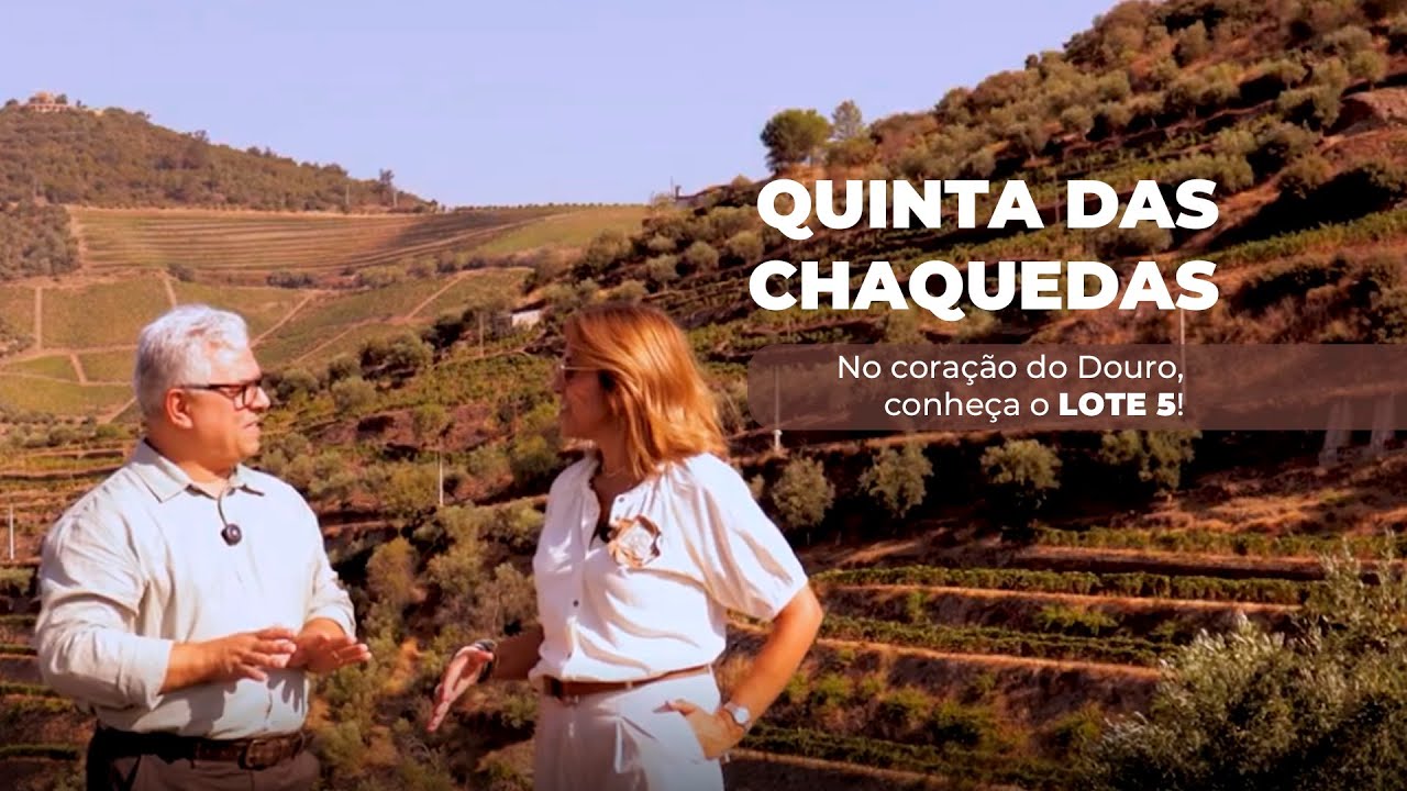 ONDE NASCE O VINHO | Uma visita inesquecível a uma vinícola familiar no DOURO!