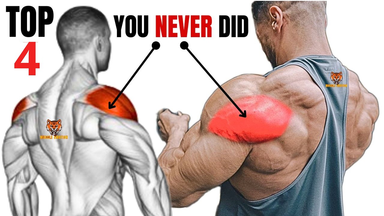 TOP 4 REAR DELTOID WITH DUMBBELLS BARBELL AND CABLE AT GYM