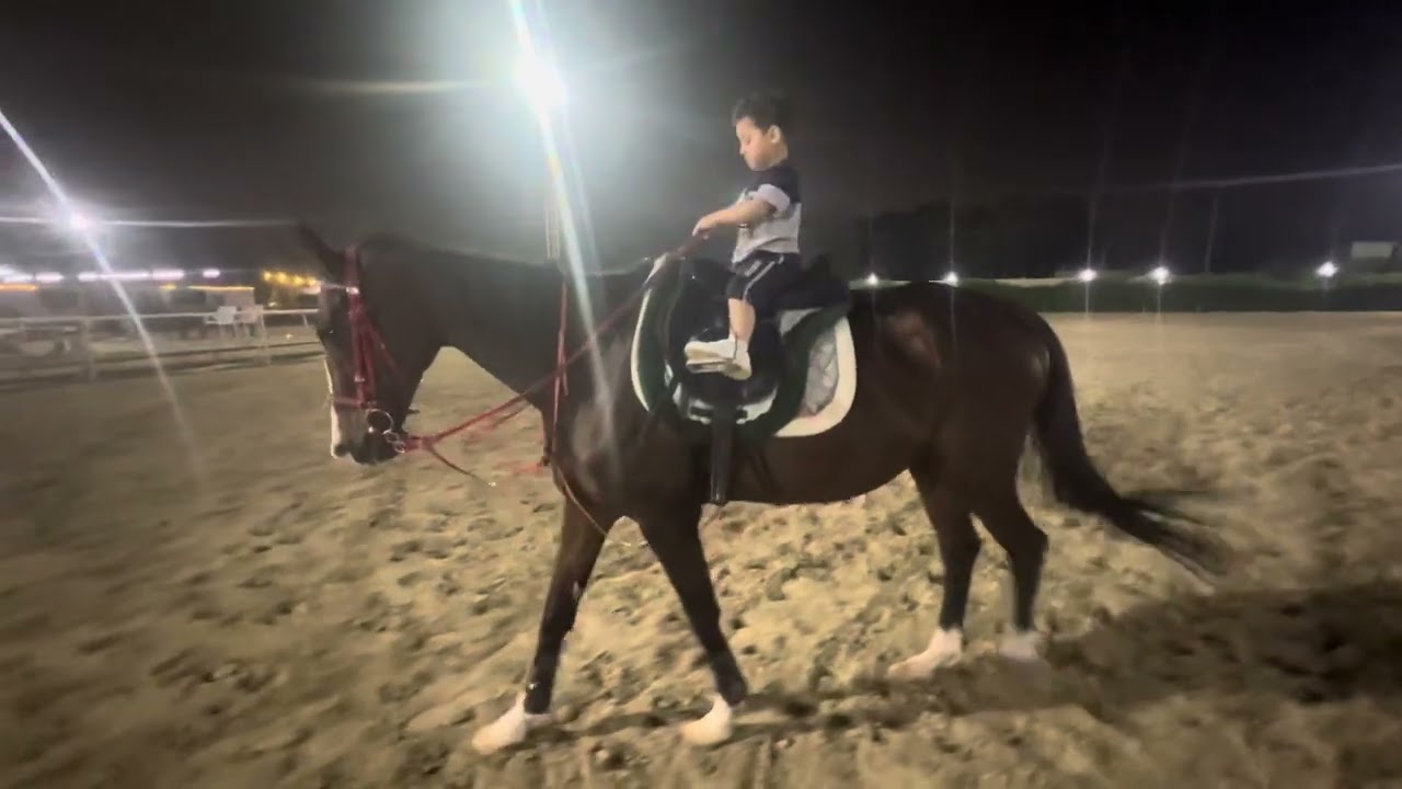 الفارس الصغير