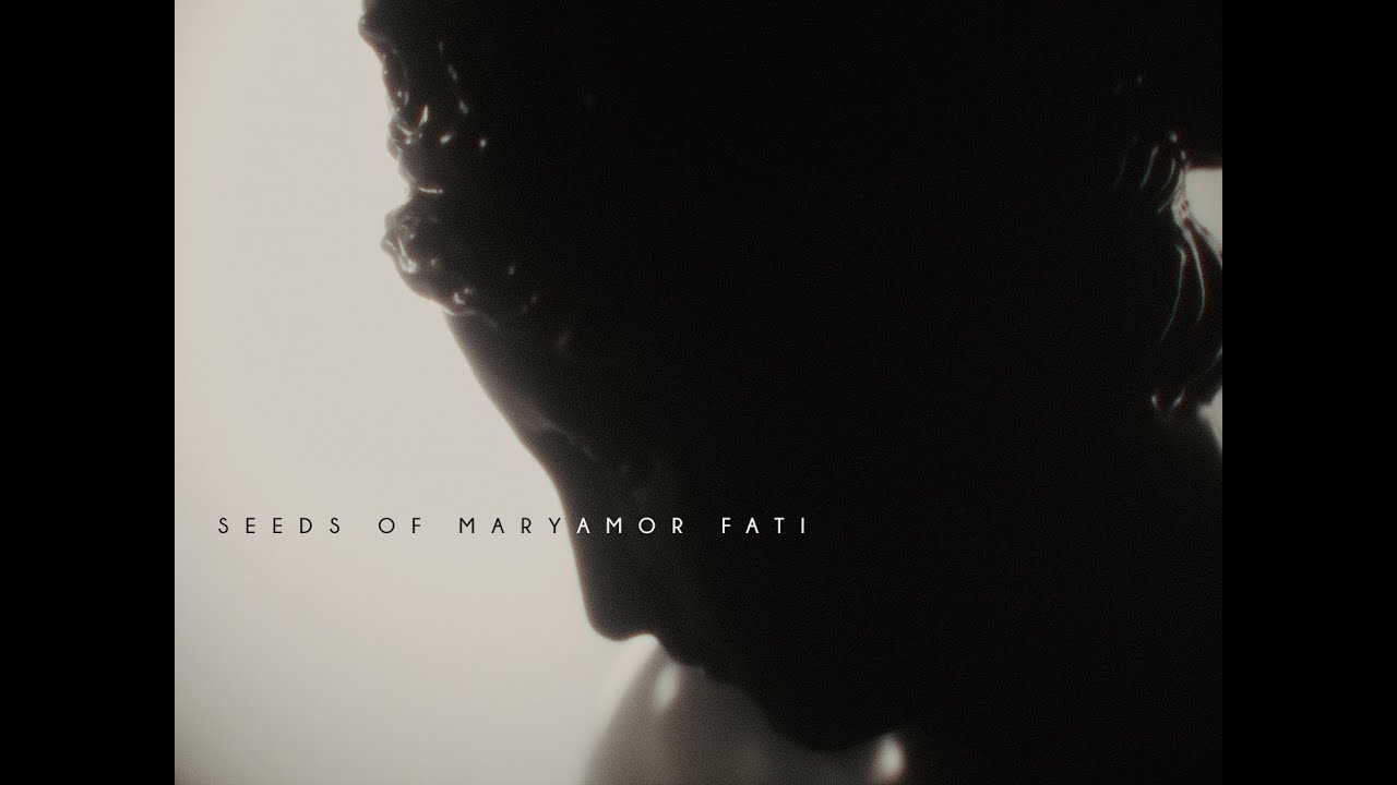 Seeds Of Mary | Amor Fati [4K LYRICS VIDEO]