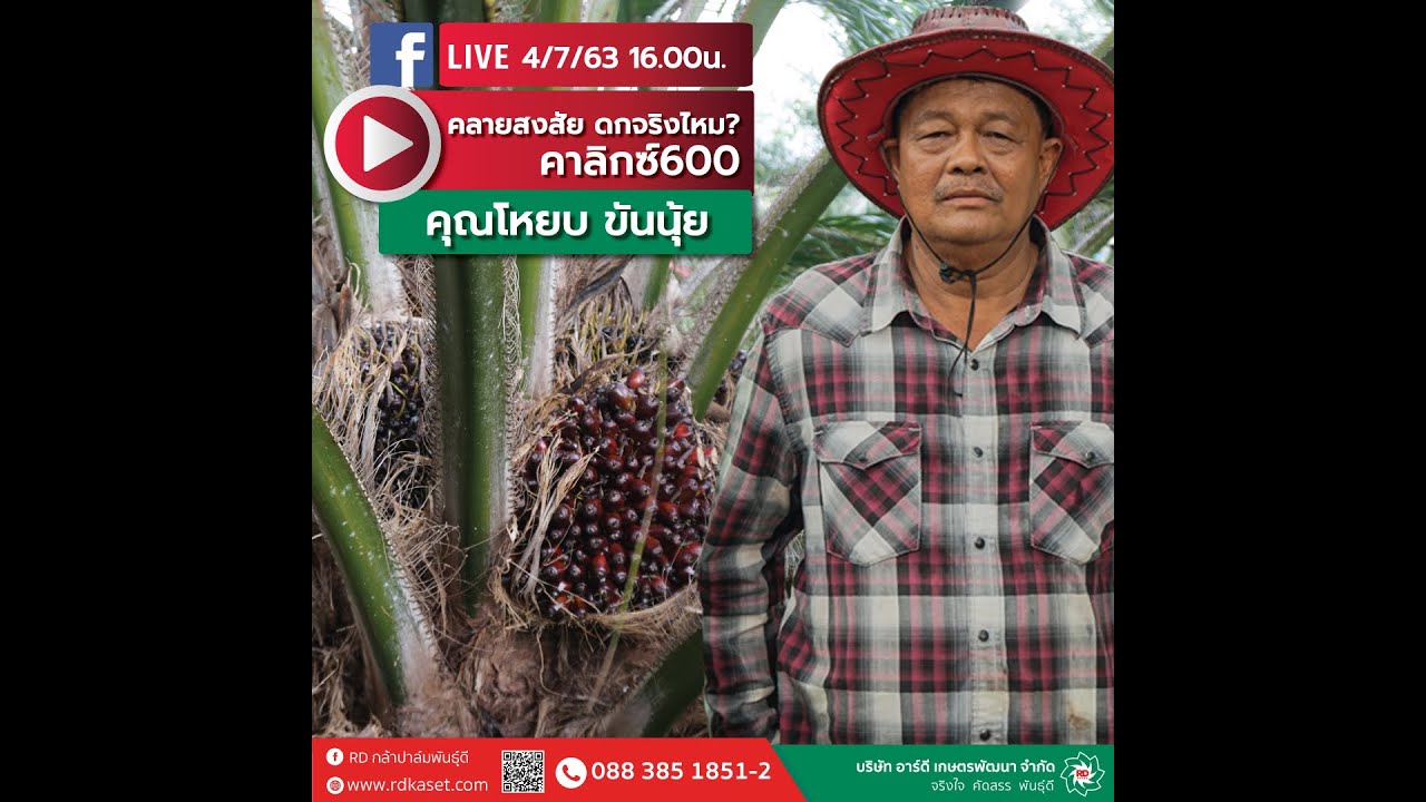 #Liveอาร์ดีพาทัวร์ คลายสงสัยคาลิกซ์600 ดกจริงไหม?