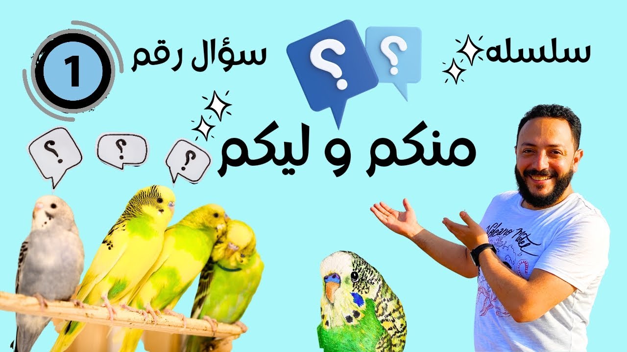 أسباب عدم تزاوج طيور البادجي