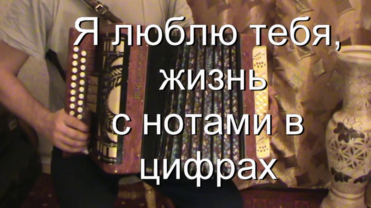 Я люблю тебя жизнь разбор с цифрами