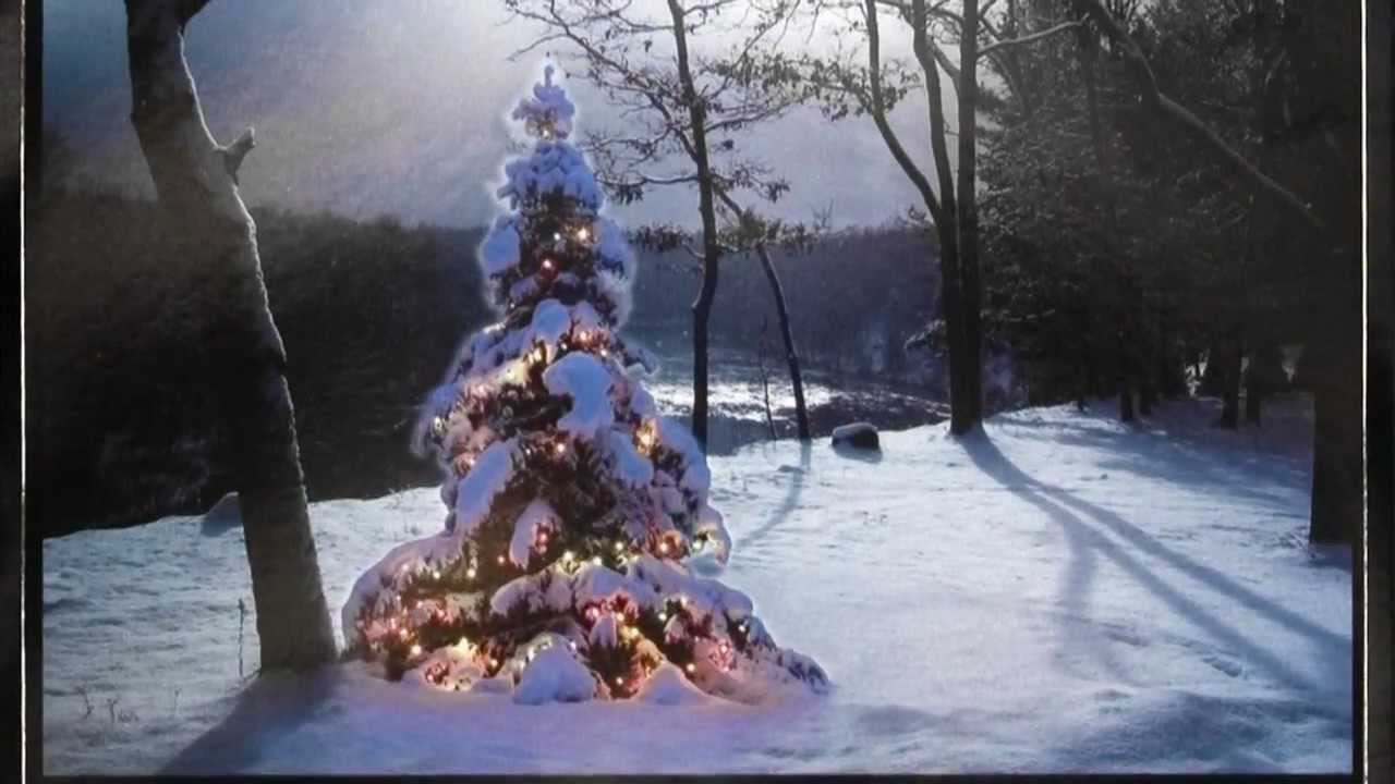 Season's Greetings