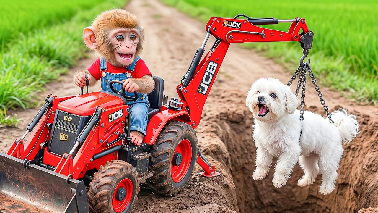 Monkey Nana Uses JCB to Rescue a Puppy from a Deep Pit… The Ending Will Shock You! 😱🐶🚜