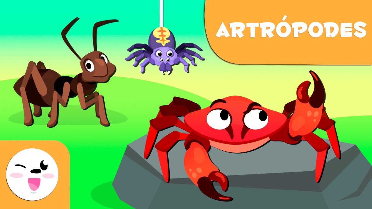 Artr&oacute;podes para crian&ccedil;as - Animais invertebrados - Ci&ecirc;ncias para crian&ccedil;as