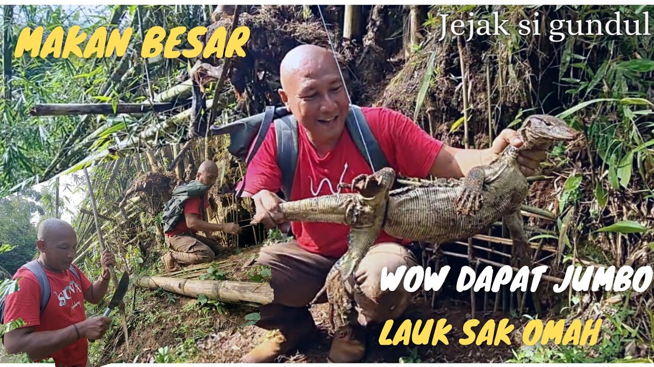 Mantab !! Biawak Besar terjerat,  Sak Lauk an, REJEKI LUR...
