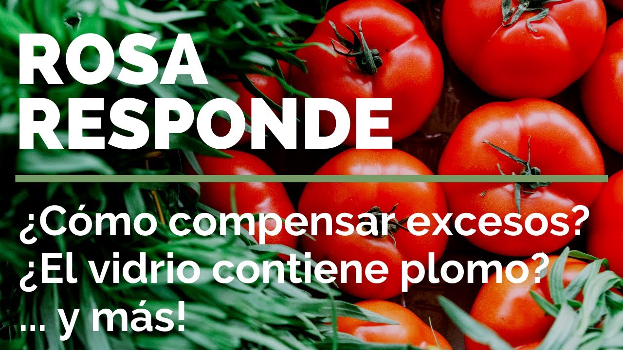 4 Preguntas sobre MACROBIÓTICA ❓ Rosa responde