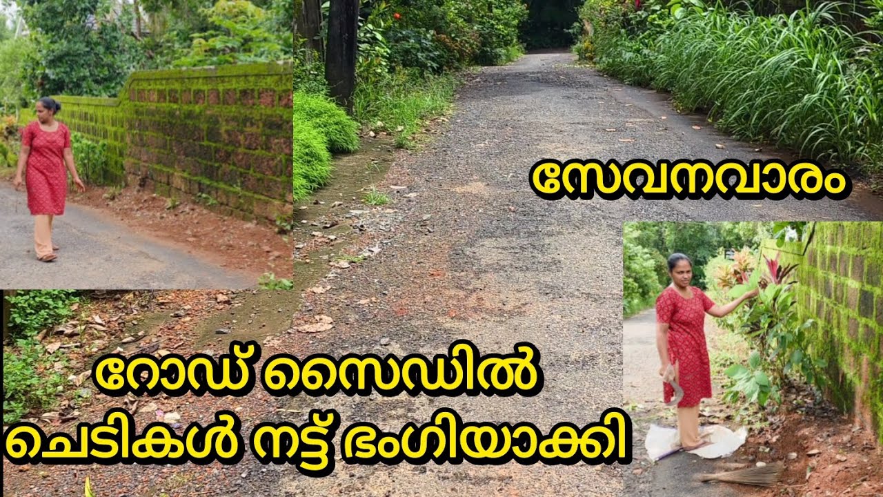 സേവനവാരം cleaning | #trending #trendingshorts #shorts #explore #foryou #like #love #fyp #garden