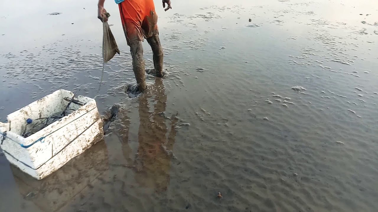 Menangkap Sotong #GuriTa di dalam Lobang nya.!!!