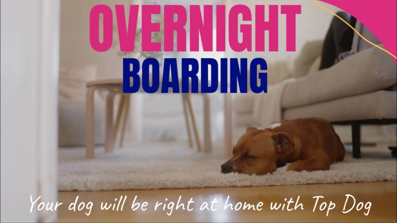 OVERNIGHT BOARDING