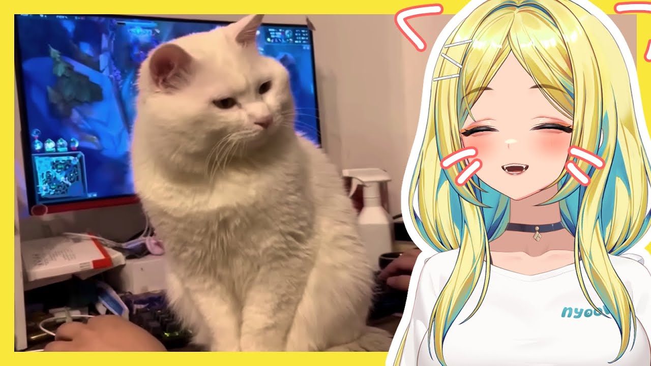 MIAAOOO! Nyoom Reacts to Cat Videos