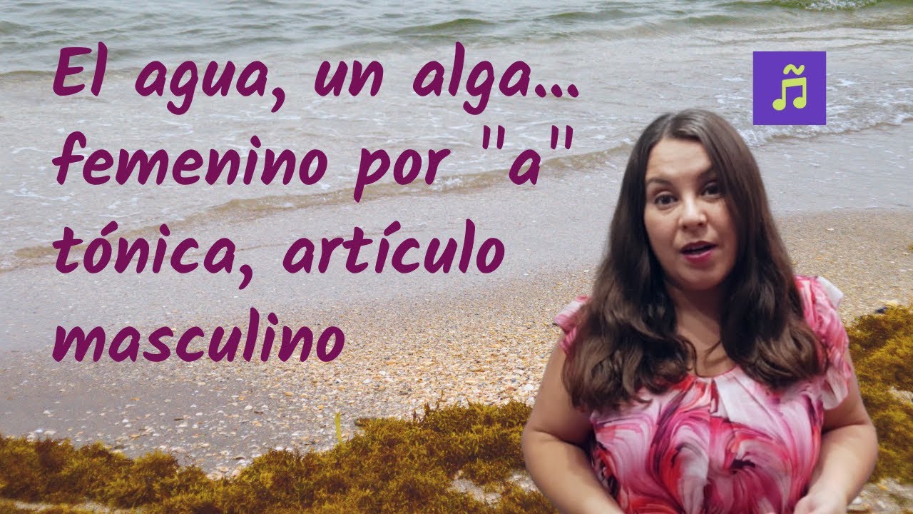 ¿Qué sustantivos femeninos llevan artículos masculinos en español?